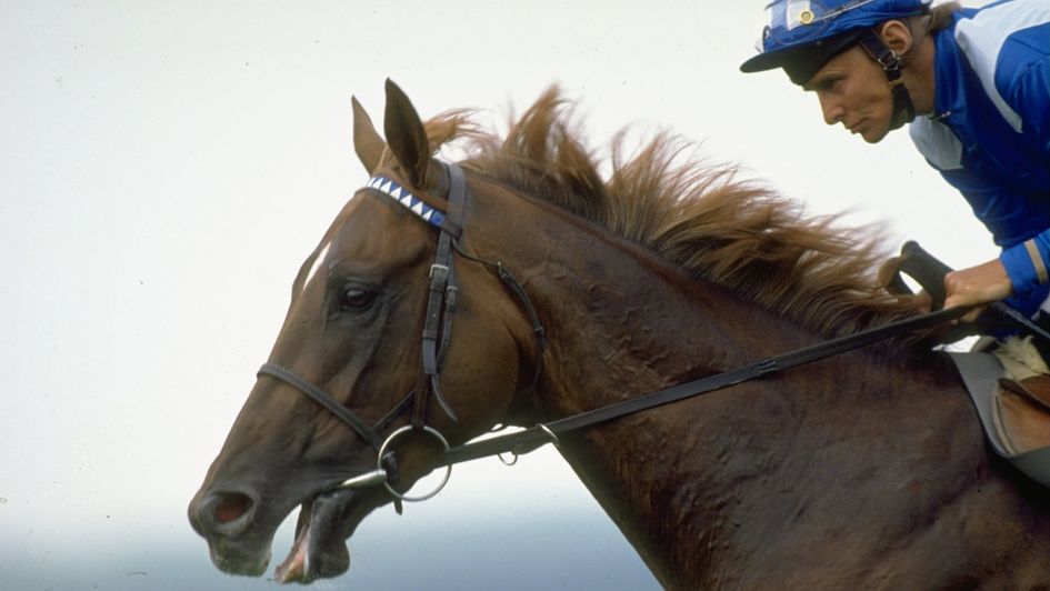 Willie Carson of Great Britain in action on Nashwan
