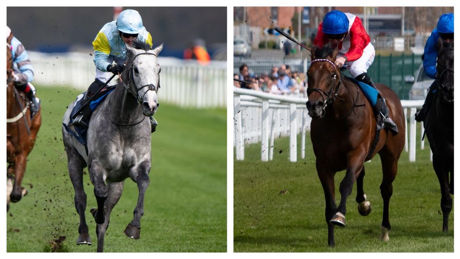 Charyn (left) and Chancellor (right)