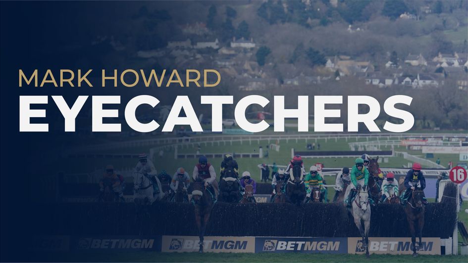 Mark Howard Cheltenham Festival Eyecatchers