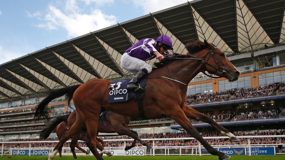 Minding wins at Ascot