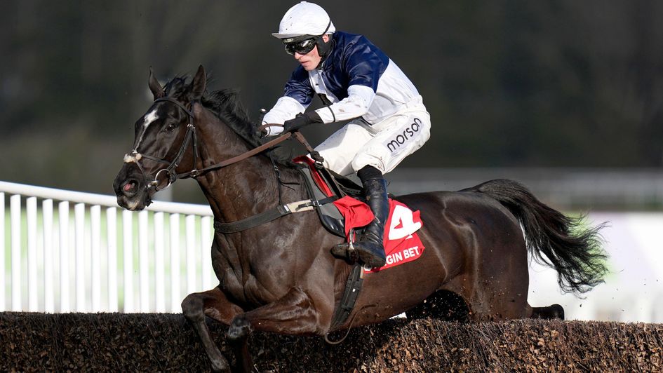 Norn Iron in action at Sandown