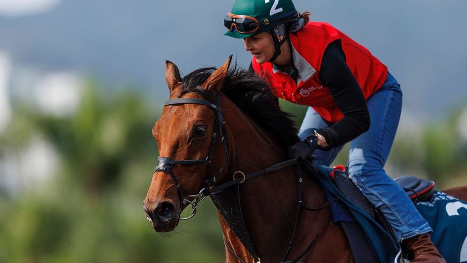 Dubai Honour and Issy Paul at Sha Tin trackwork