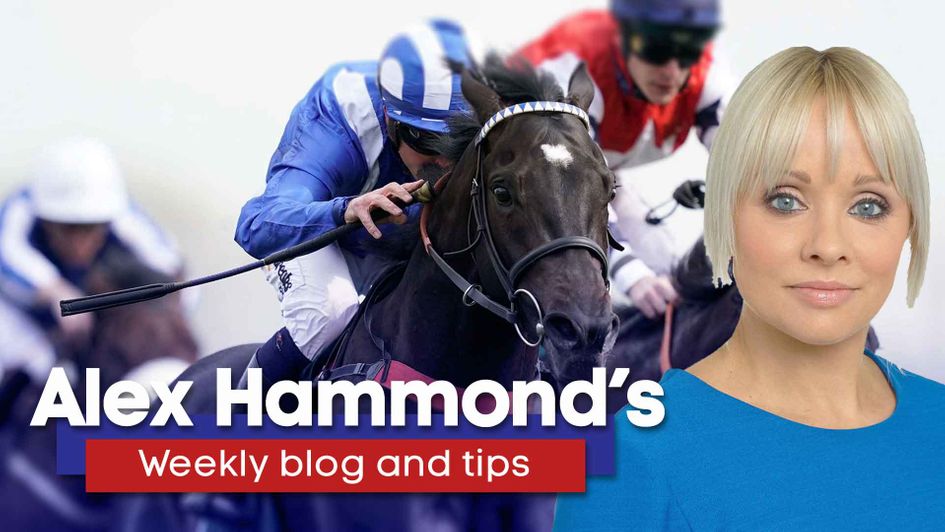 Alex Hammond looks ahead to the July Festival