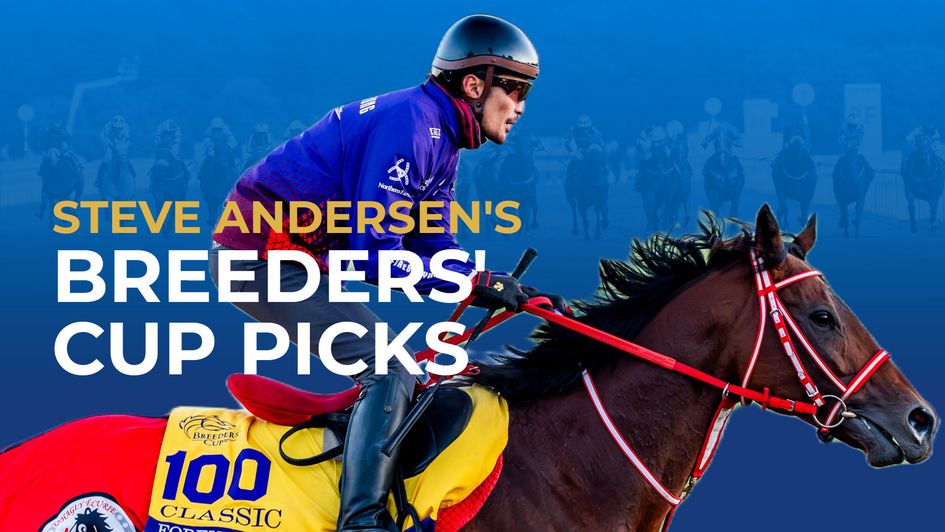 Check out the latest Breeders' Cup tips