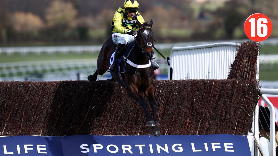 Who will follow in Shishkin's footsteps and win the Sporting Life Arkle?