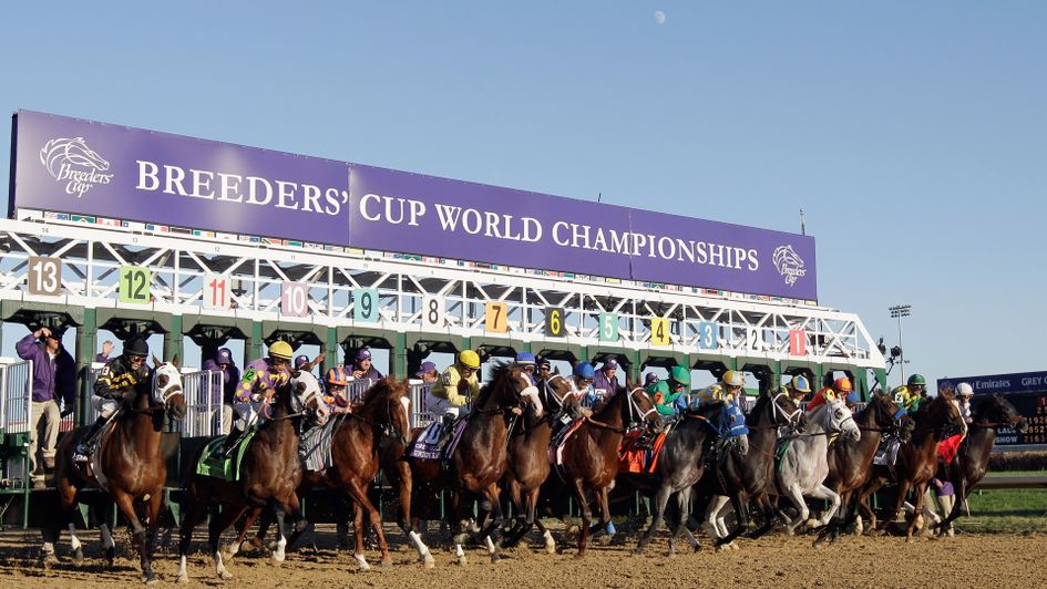 The Breeders' Cup returns to Churchill Downs this year
