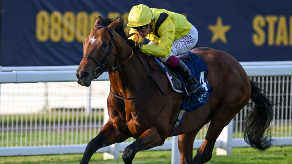 Almaqam wins the Brigadier Gerard