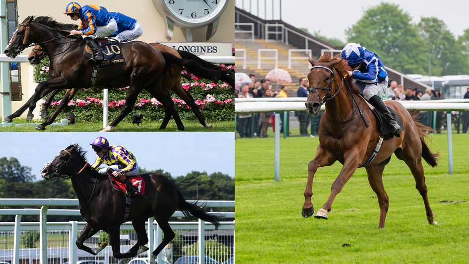 Goodwood entries are in for Tuesday