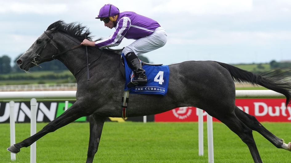 Dorset wins what is traditionally a warm Curragh maiden