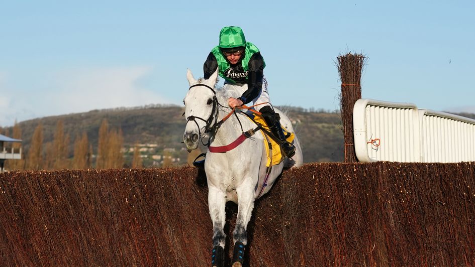 Commodore - brilliant Cheltenham winner