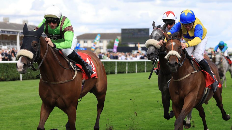 Tolstoy and Niall Madden win the Leger Legends