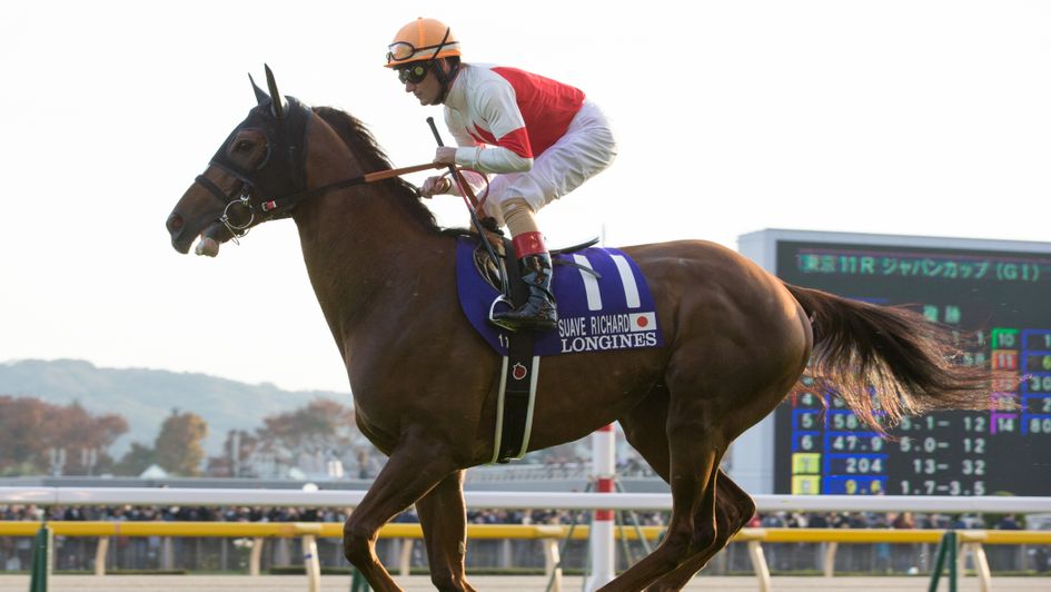 Suave Richard - won the Japan Cup
