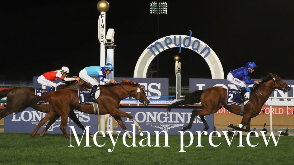 Can you gamble at meydan racecourse