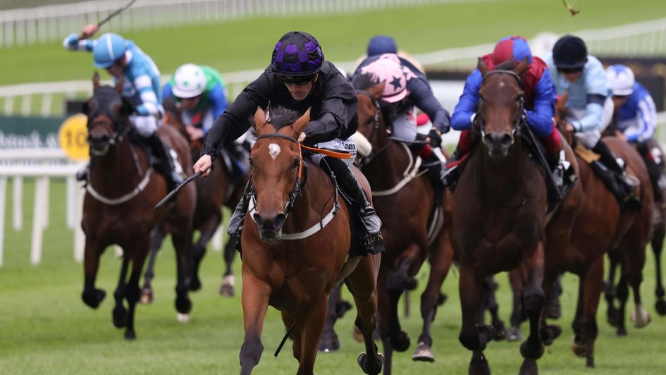 One Look is a scintillating winner on debut