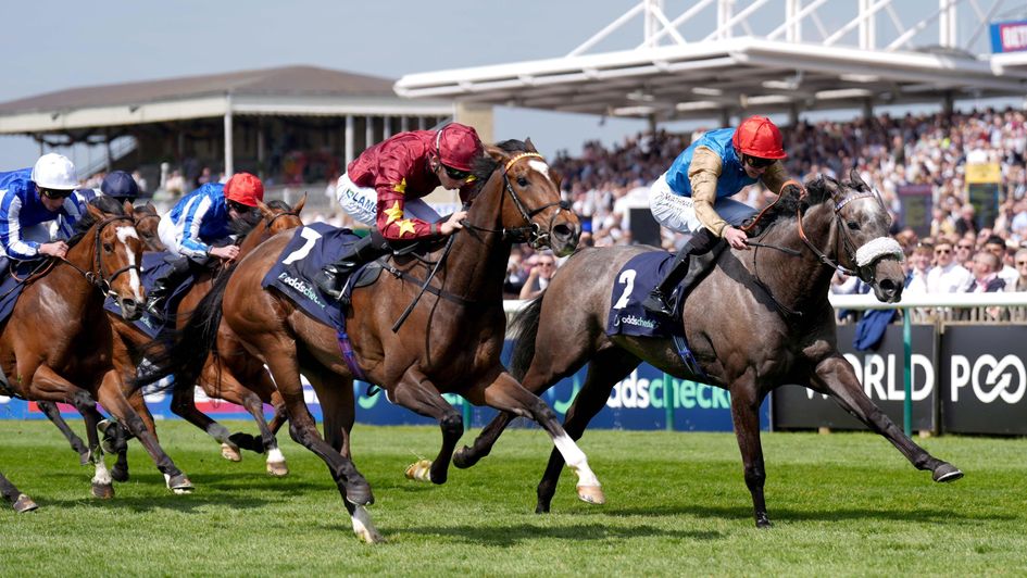Flora Of Bermuda gets up at Newmarket