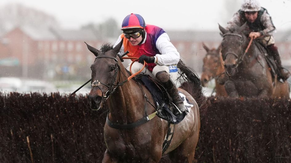 Haiti Couleurs is in control of the Denman Chase