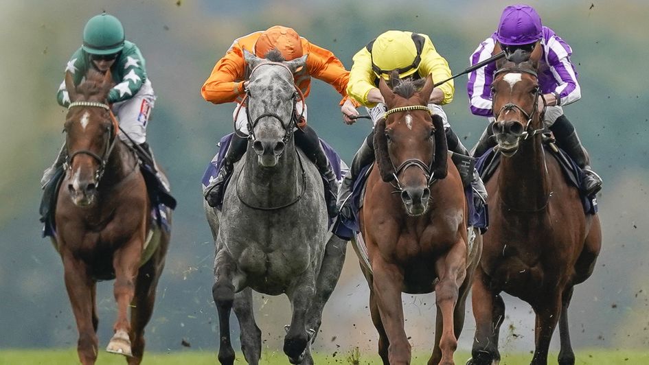 Sunday Longchamp Preview Tips Skalleti The Star Attraction