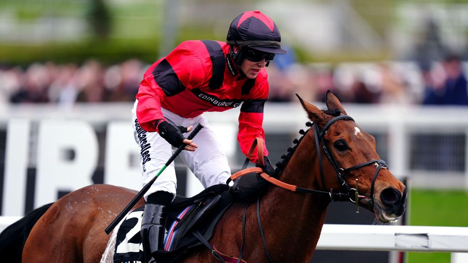 Myretown - leading fancy for Coral Gold Cup