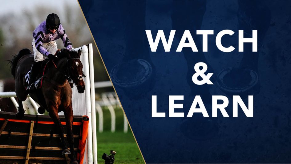 Stage Star was impressive at Newbury