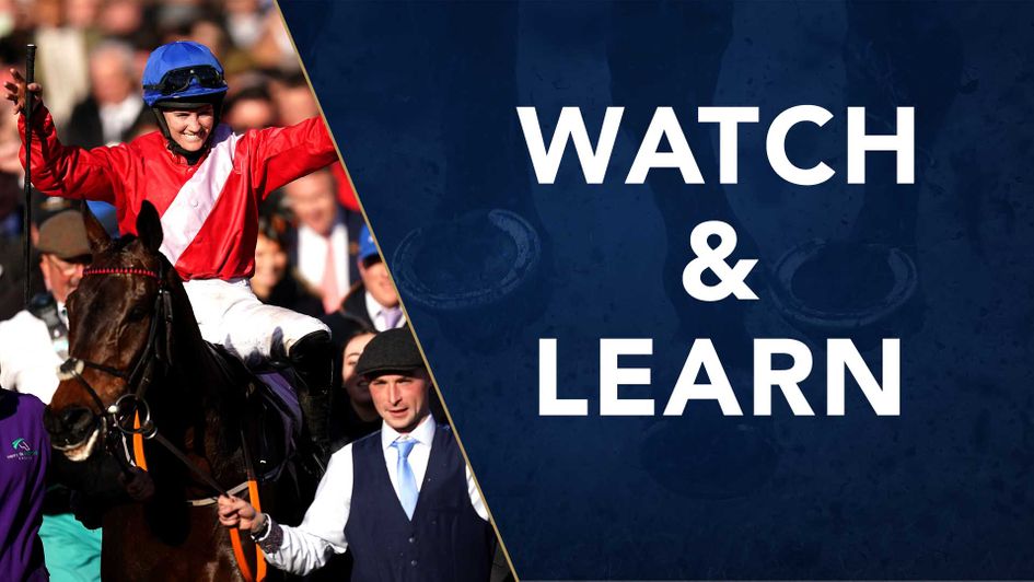 A Plus Tard after his 15-length win in the Gold Cup