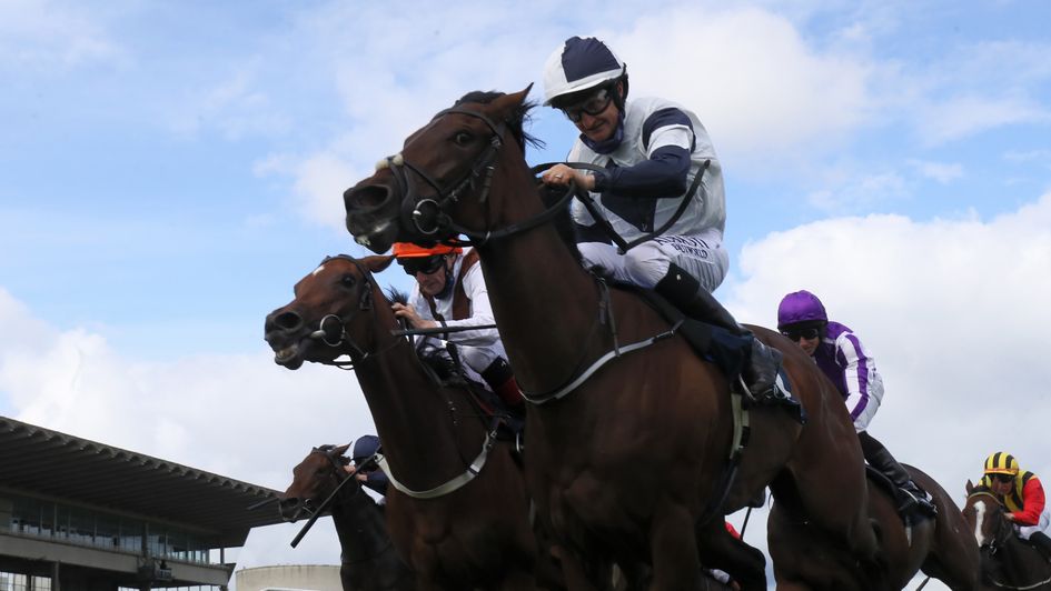 No Speak Alexander wins a dramatic Matron Stakes