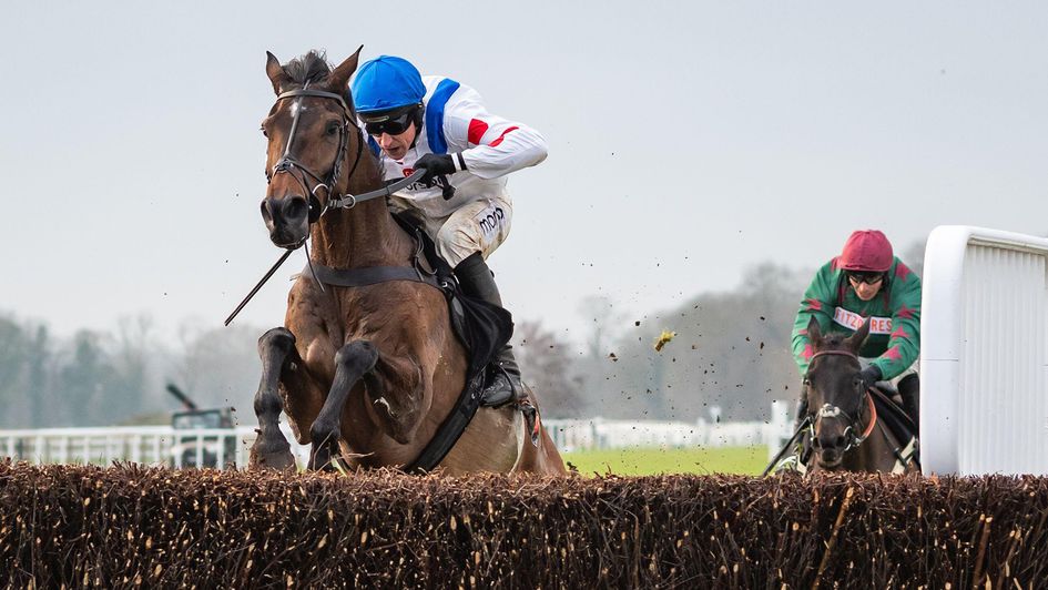 Protektorat was spring-heeled at the final fence