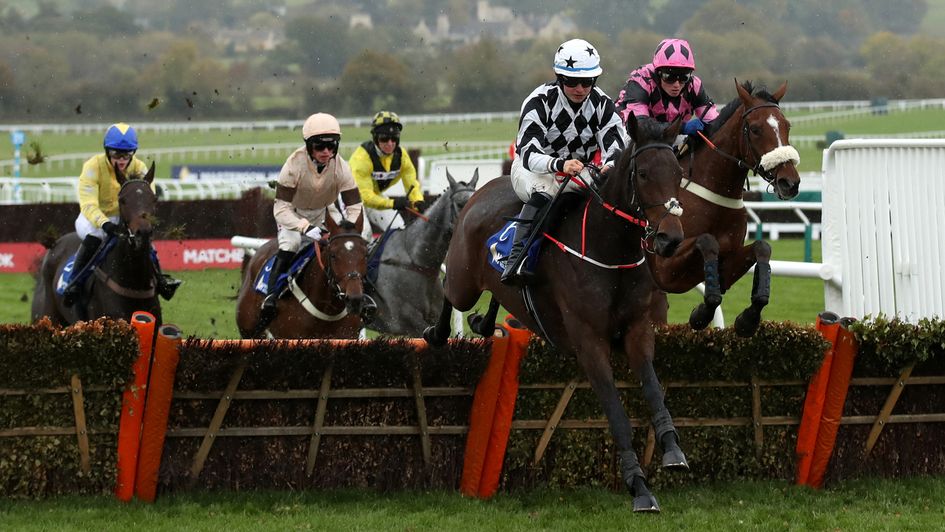 Pearl Of The West wins at Cheltenham