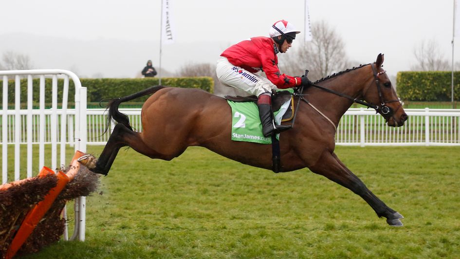 The New One: Great record in Cheltenham feature