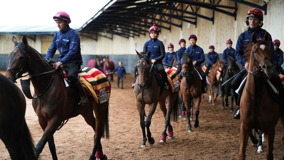 The team at Ballydoyle on Monday (Photo: Megan Ridgwell/The Jockey Club)