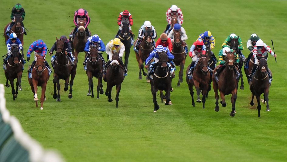 A furlong out in the Cesarewitch