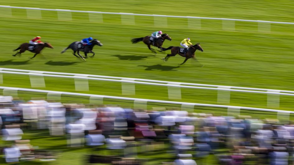 The high-class My Prospero won a maiden on Newbury's Greenham card last season