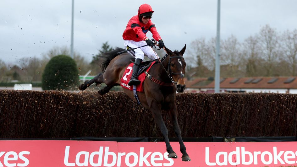 Jax Junior impresses at Kempton