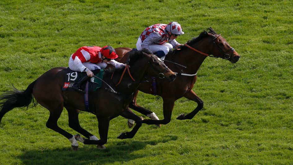 Chatez gets his head in front at Newbury