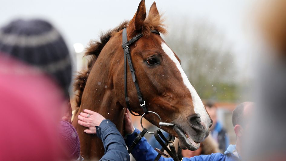 Gold Cup winner Native River