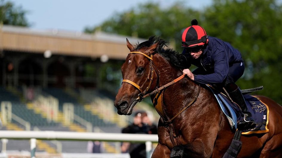 Satono Reve under Ryan Moore (Credit: John Hoy)