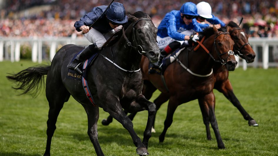Caravaggio sweeps through to win the Commonwealth Cup