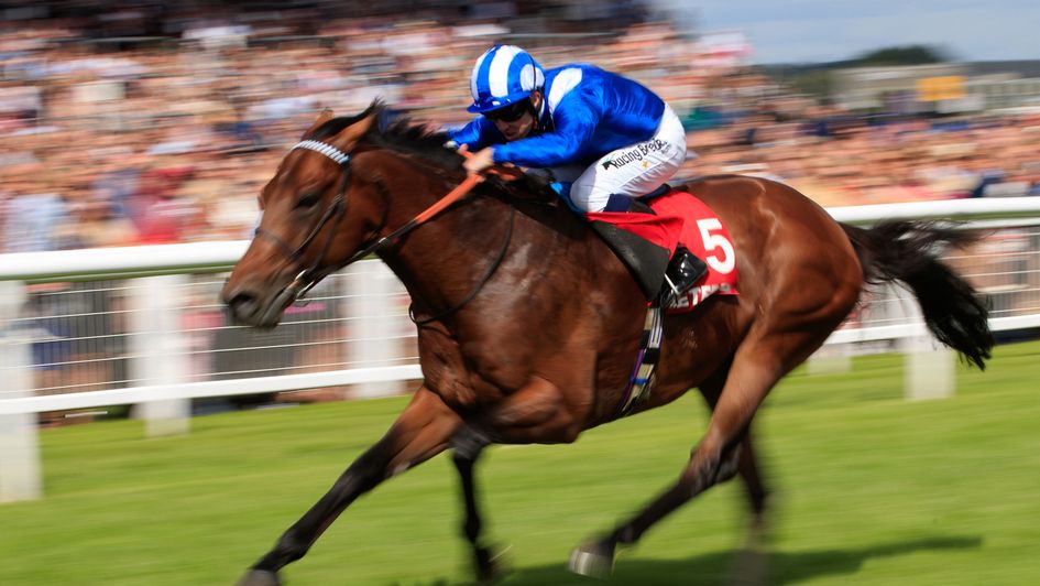 Massaat pictured winning the Hungerford Stakes