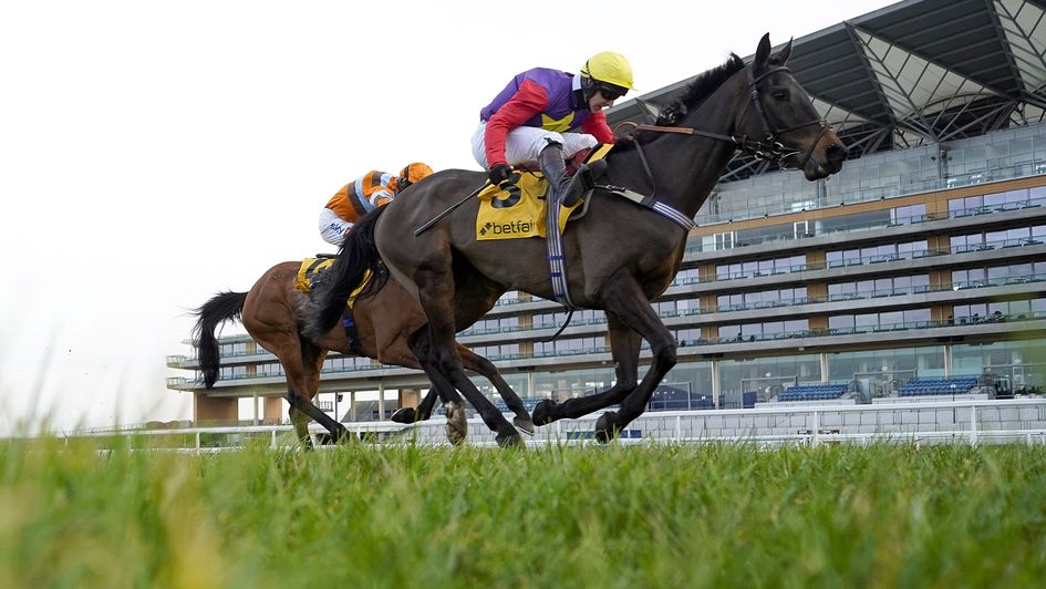 Dashel Drasher wins the Betfair Ascot Chase