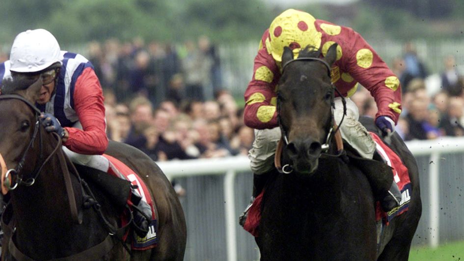 Orientor in action at York