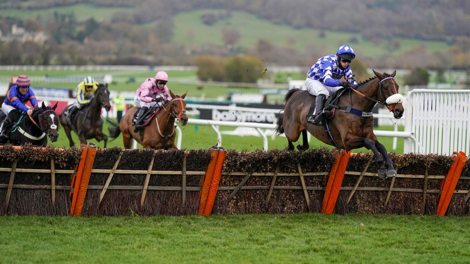 It's a clear lead for Does He Know at the last