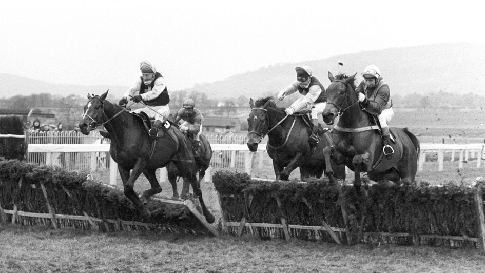 Monksfield and Night Nurse duel in the 1977 Champion Hurdle