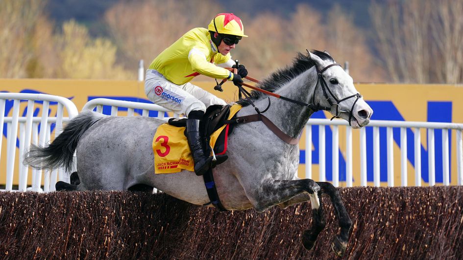 Caldwell Potter was brilliant at Cheltenham