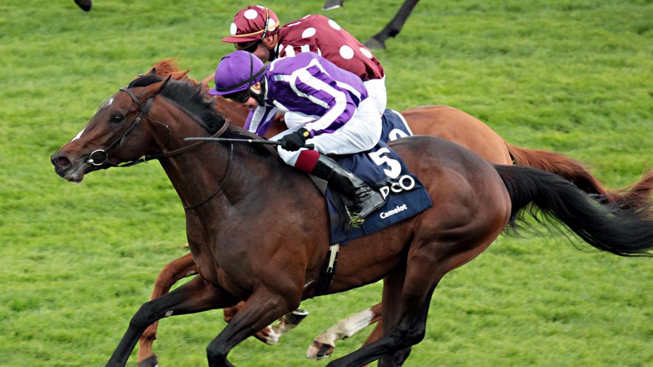 Camelot battles to 2000 Guineas glory