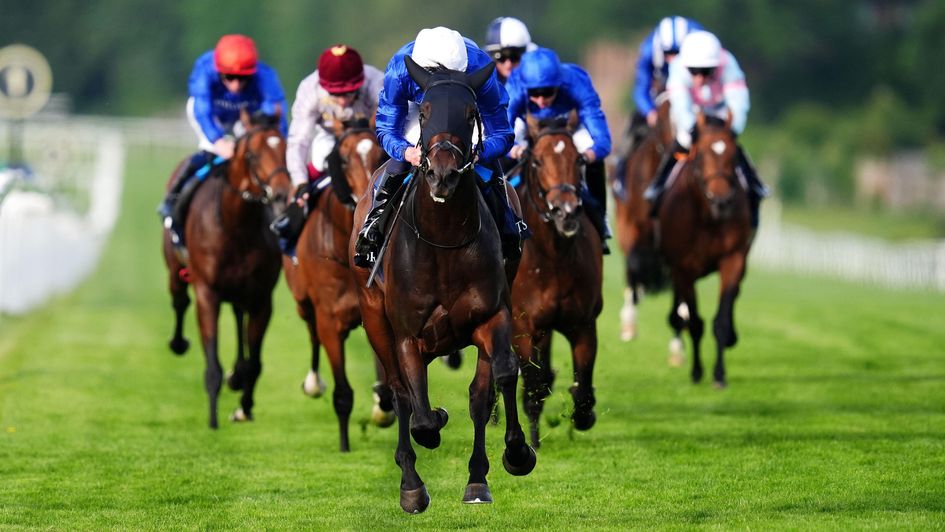 Talk Of New York is a cut above his Heron Stakes rivals