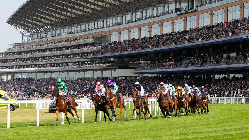 The Ascot Stakes field head out for the second circuit