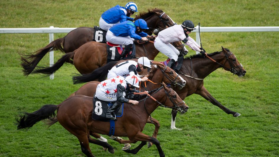 Intercessor gets up to win at 200-1