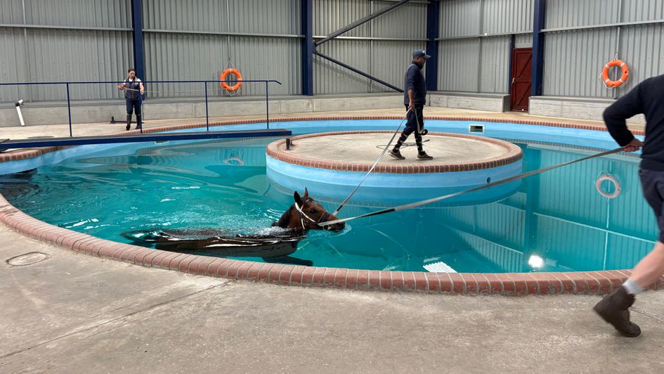 One of the string in the pool