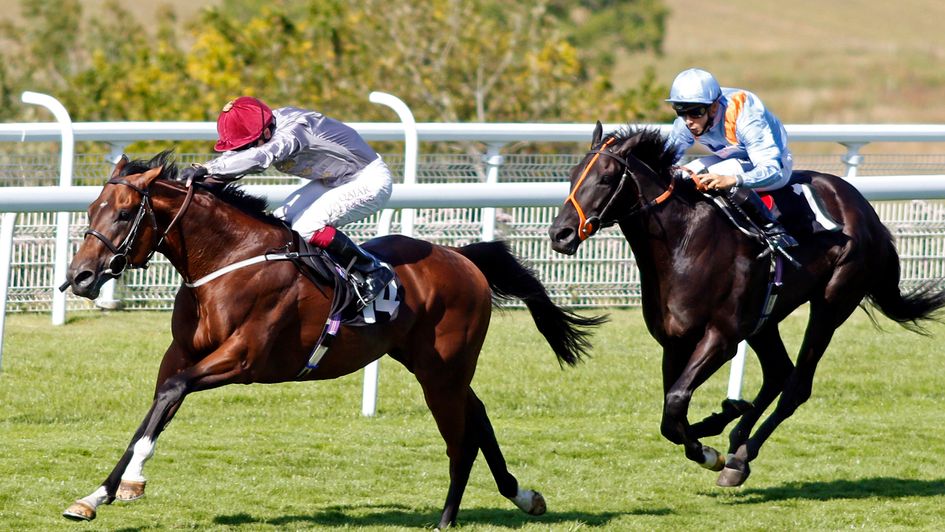 Toro Strike sweeps clear at Goodwood