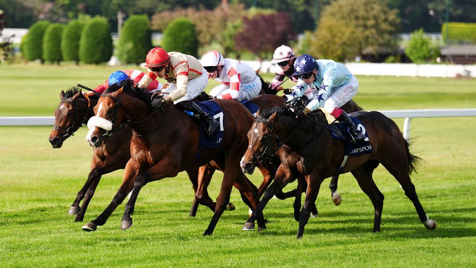 Where Love Lives leads close home in the National Stakes