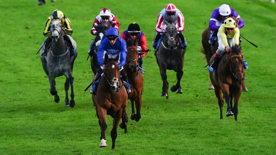 Shining Blue was an easy winner at Leicester